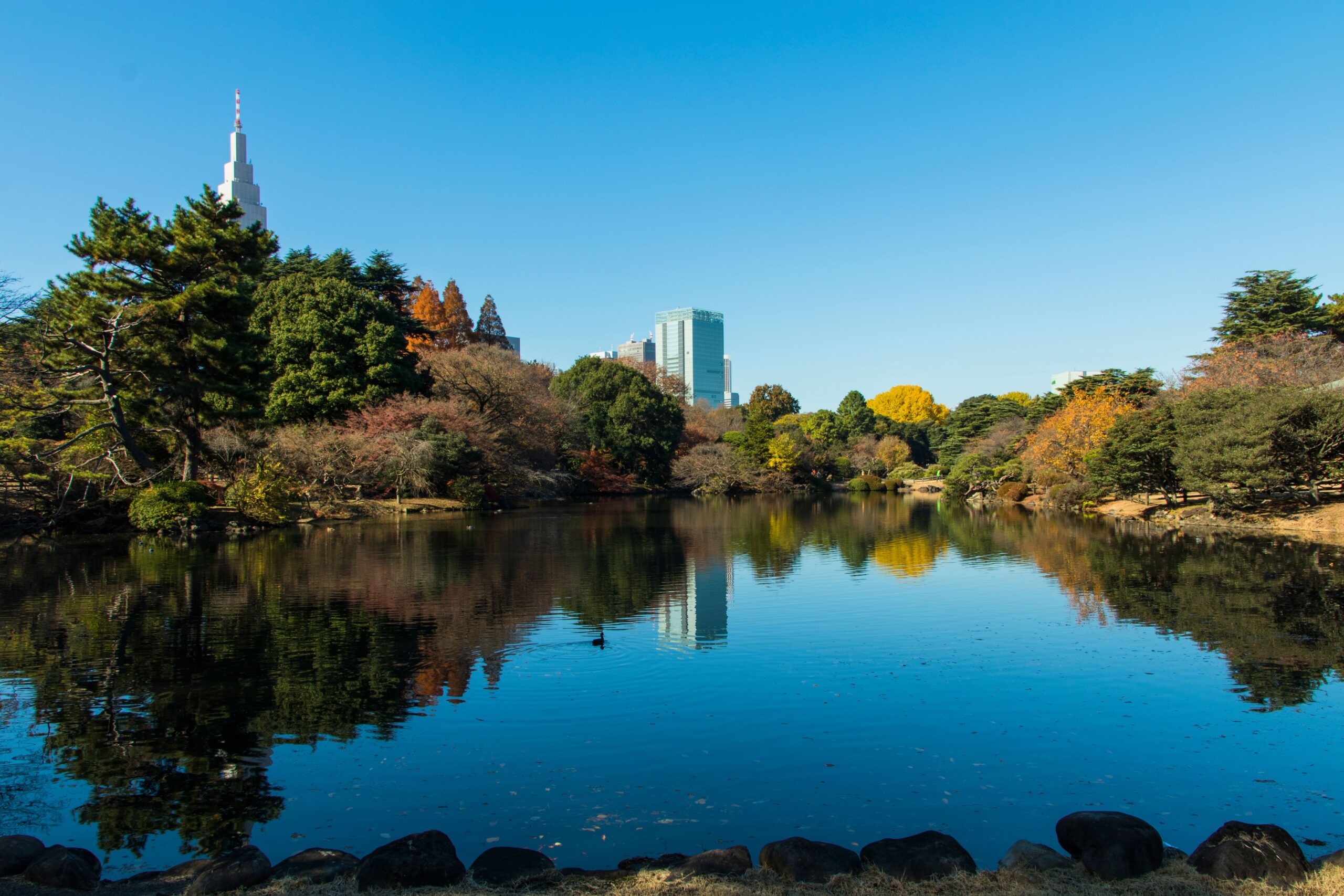 shinjyuku (1)