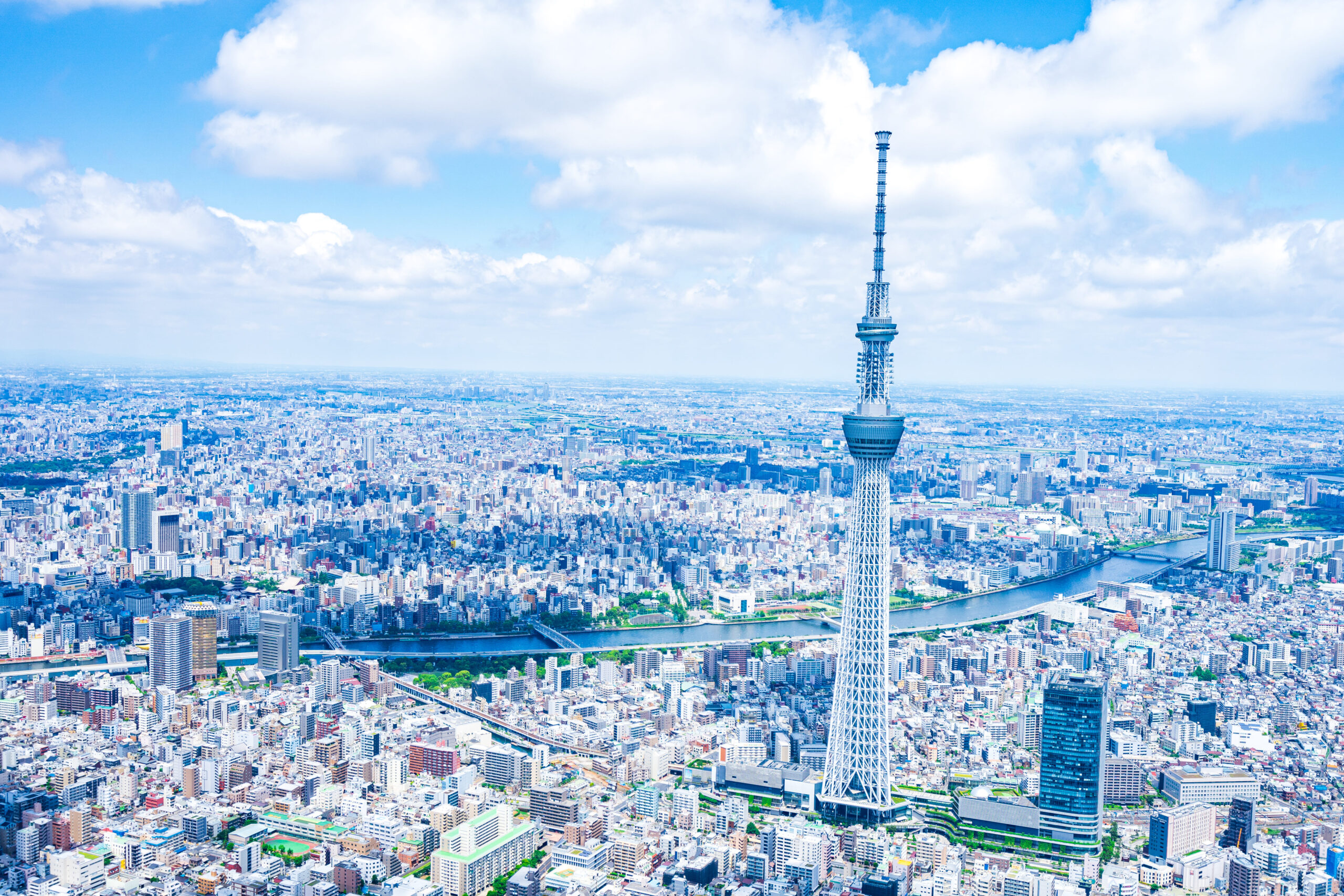 tokyo (5)