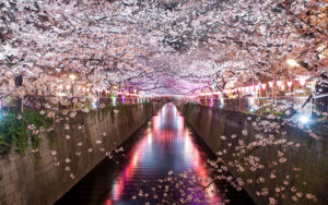 tokyo_img07