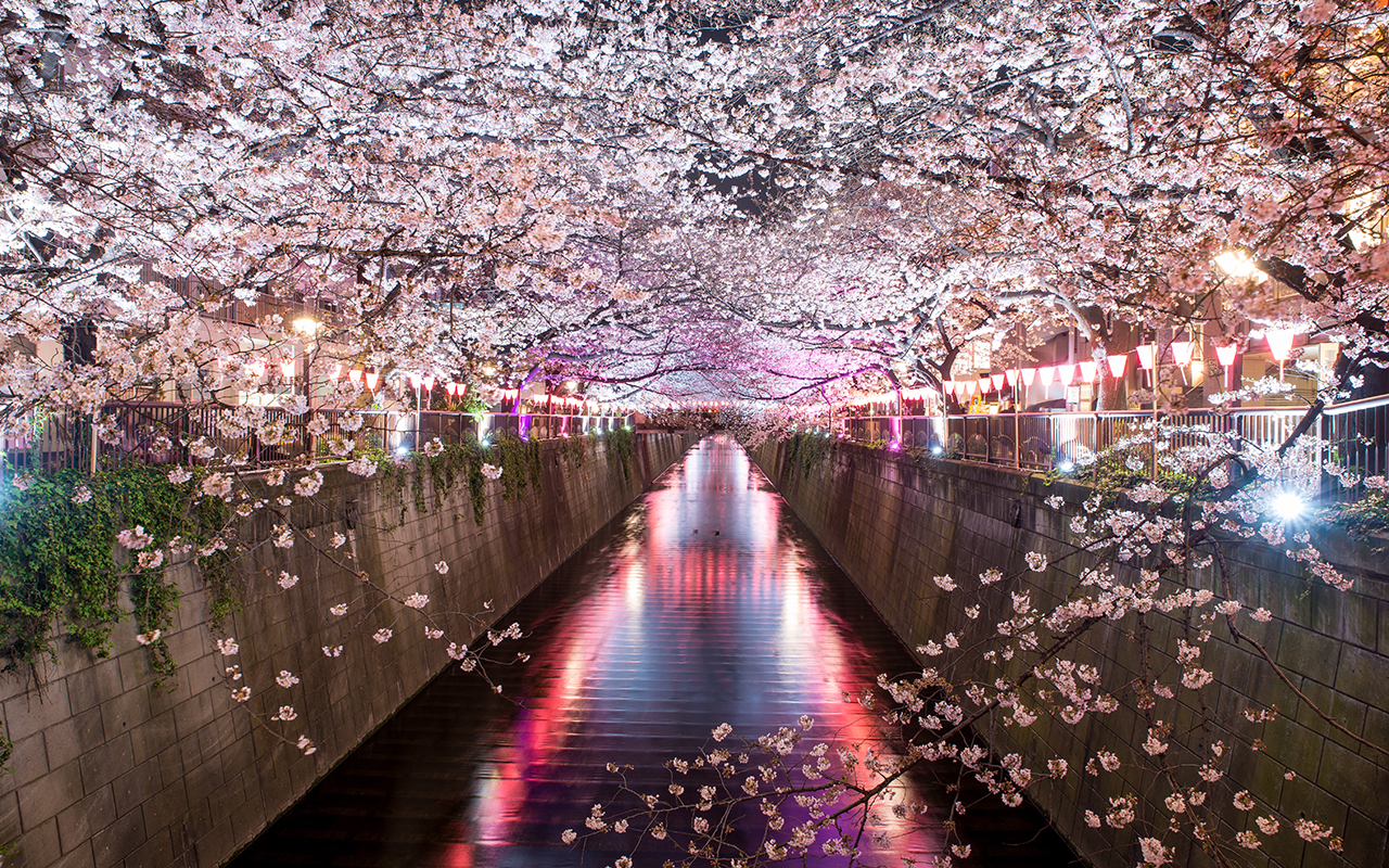 tokyo_img07